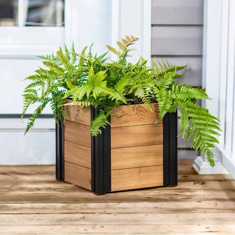 Mezza Wood Planter Box, 11.25" H x 12" W x 12" D