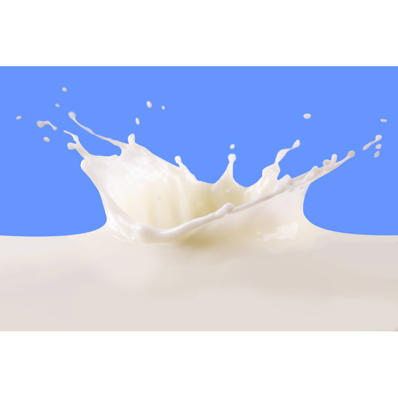 Milk Splash by Chepko - Wrapped Canvas Print, 30cm H x 46cm W