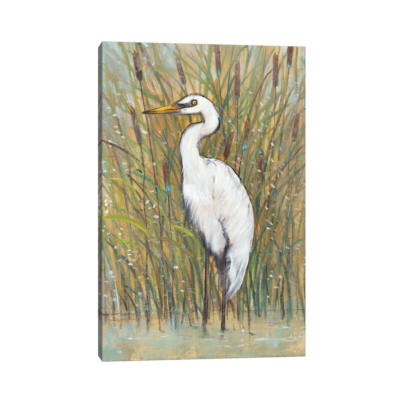White Egret I by Tim OToole - Wrapped Canvas Print, 20.32 cm H x 30.48 cm W