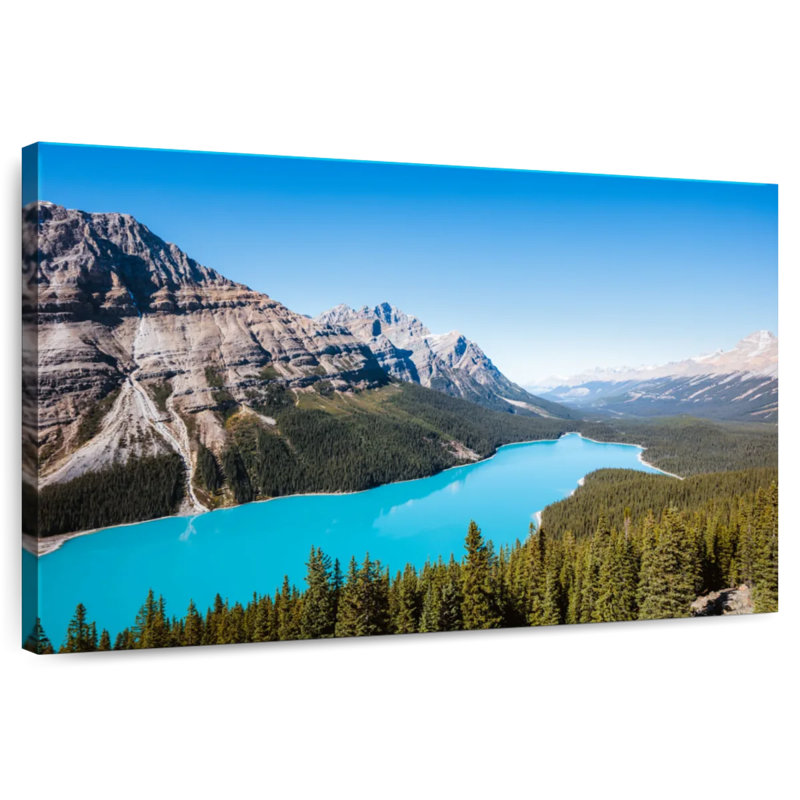 Alamar, aigue-marine, lac Peyto, H 20 po x l 30 po