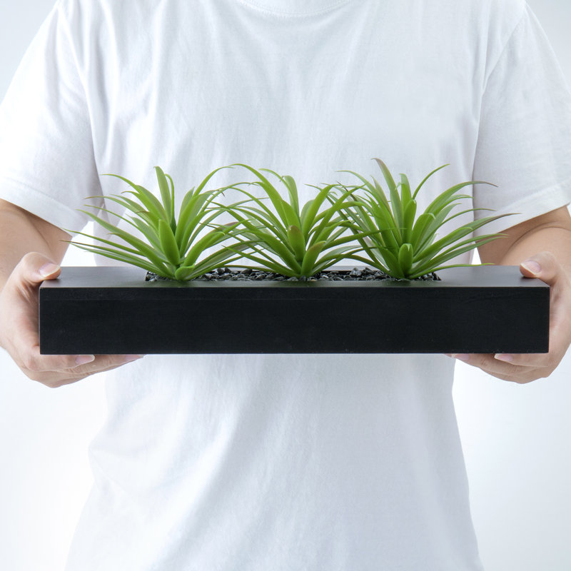 Artificial Grass in Planter