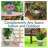 Berlina Round Imperial Ceramic Outdoor Planter-2096375821-2096414548