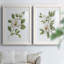 «Magnolia Morning I», reproduction encadrée de qualité supérieure - prête à être accrochée-152898337-152898336