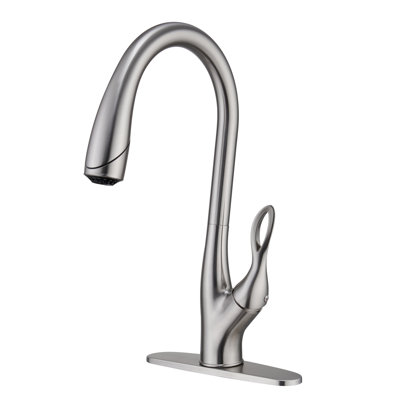 Mondawe Pull Down Kitchen Faucet