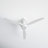 Merida 52'' Ceiling Fan with LED Lights