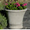 Vallier Planter