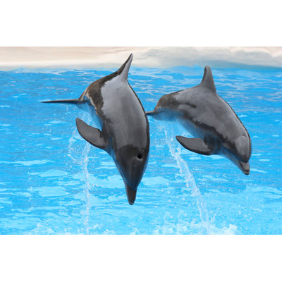 Dolphins Jumping by Falcon76 - Wrapped Canvas Print