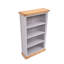 Mickel 120cm H Standard Bookcase-260733861-260733871