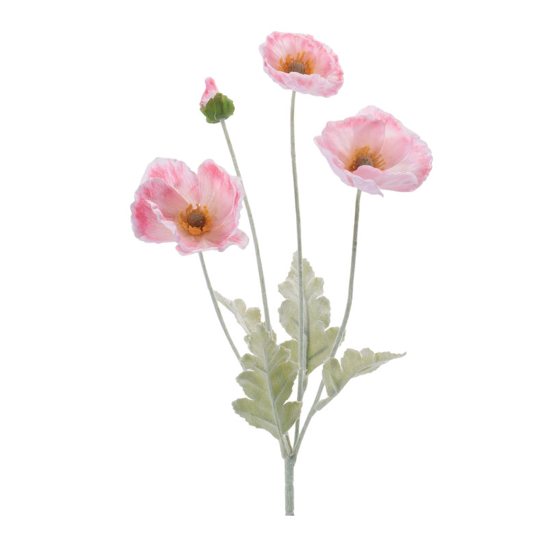 Vaporisateur floral coquelicot, Rose