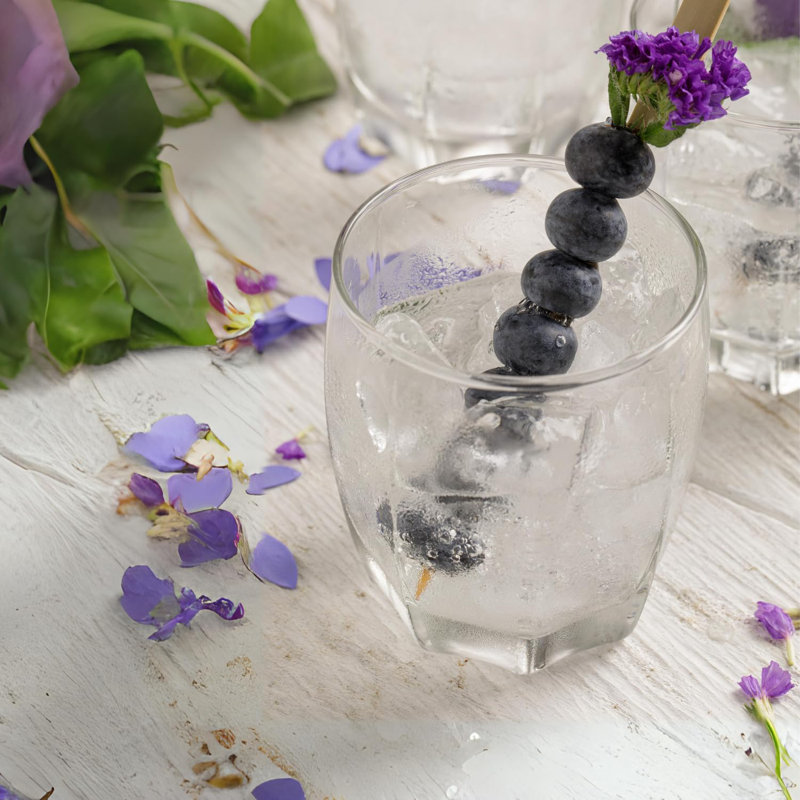 Ensemble de 12 verres à whisky, verres à whisky sans plomb