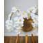 Green Phalaenopsis Orchid 33"-97239990-97239991