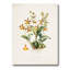 " Vintage Flower I " Painting Print-59815145-59815146