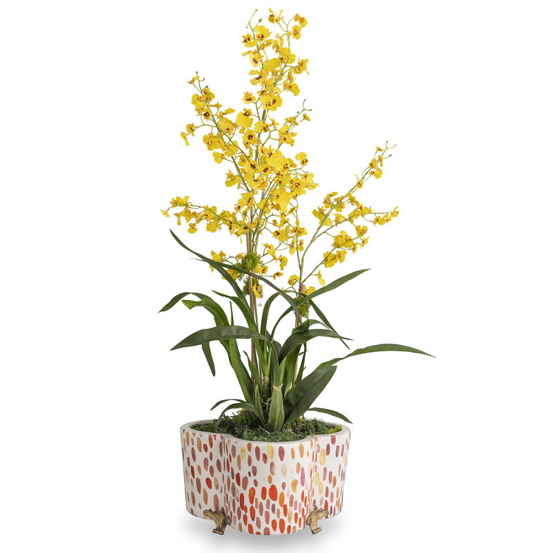 Jamboree Berry Quatrefoil Planter