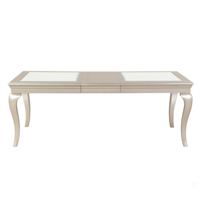 Modern Glamourous 1Pc Dining Table With Separate Extension Leaf Cabriole Legs Insert Glass Panels Traditional Furniture