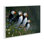 Plaque murale Puffins & Wild Flowers, design par Jeremy Paul
