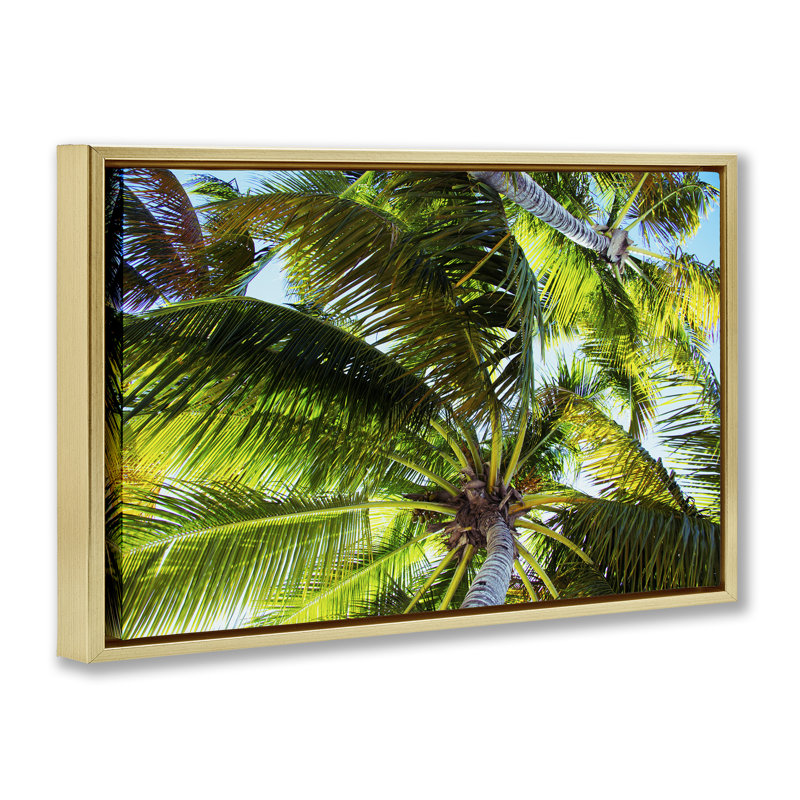 Toile flottante encadrée «Swaying Palm Leaves» par Emily Navas, Cadre flottant métallique doré, H 17 po x l 25 po