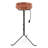 Plastic Birdbath