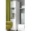 Daheemion 4 -Shelf Storage Cabinet
