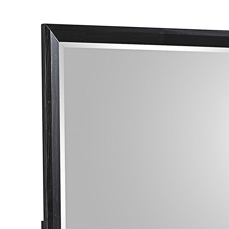 Miroir traditionnel (miroir inclus seulement)