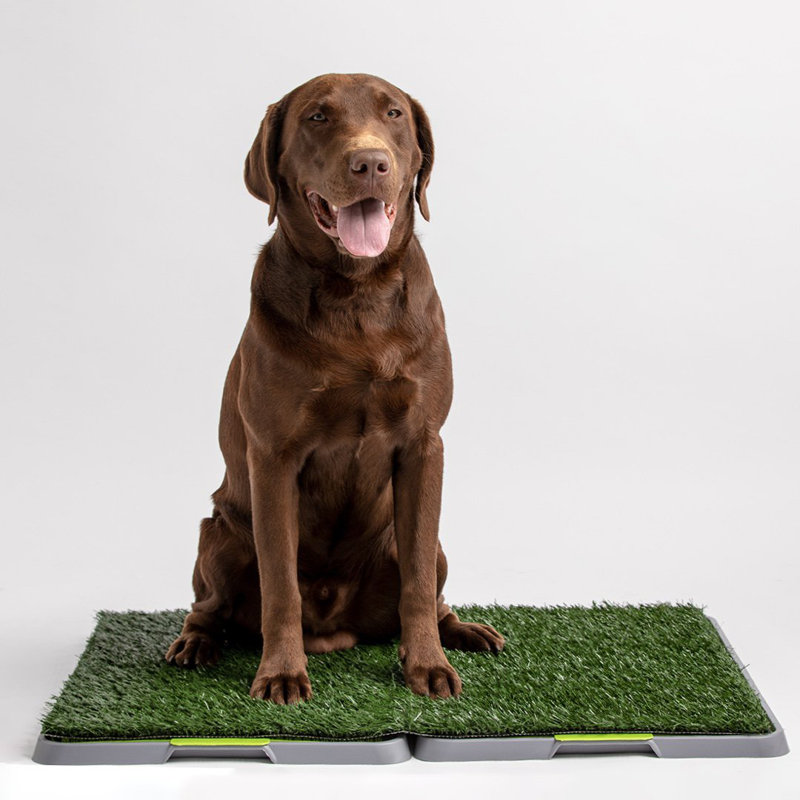 Wicker Pet Bed