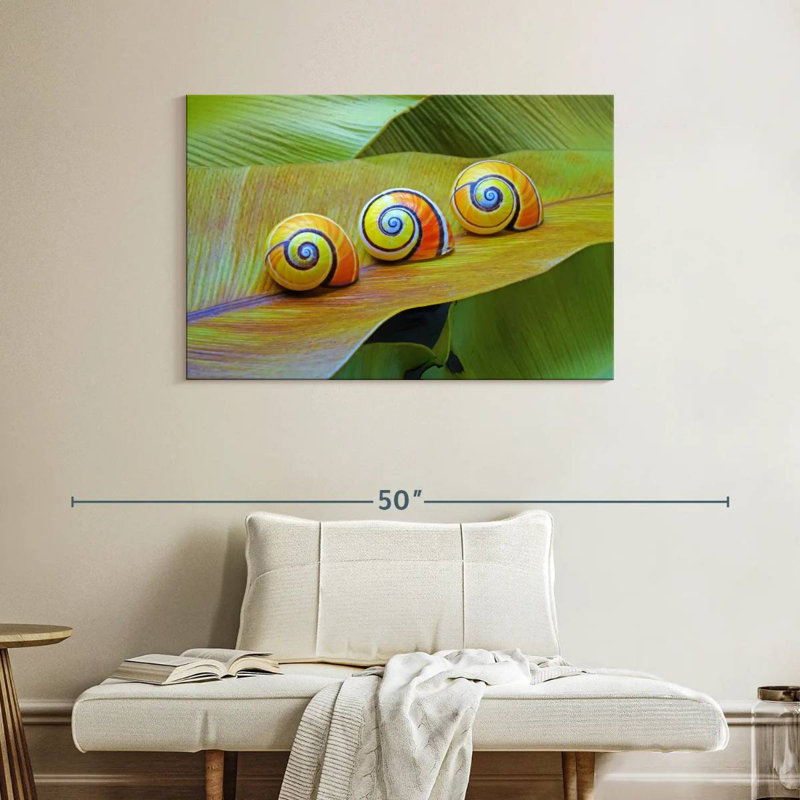 Cuban Snails, 26" H x 39" W