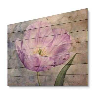 Radiant fleur de tulipe mauve IV - Décoration murale traditionnelle en bois sur bois de pin naturel