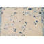 Tapis beige en laine noué à la main de conception unique 4 pi x 4 pi 10 po New Age