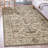 Benson Oriental Indoor Rug-17250341