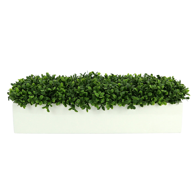 UV Rated Indoor/Outdoor Faux Boxwood Arrangement in Fiberstone Planter, White