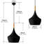Luminaire suspendu noir 1 lumière