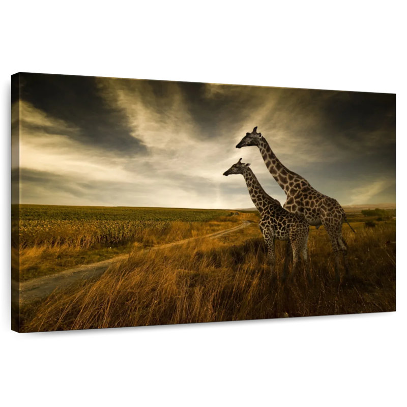 Brampt Giraffe Family