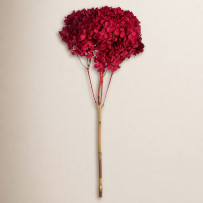 Preserved Hydrangea Stems