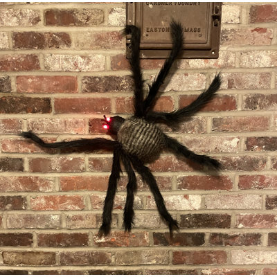 Araignée d'Halloween 27 "avec yeux clignotants 27"