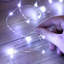 LED Indoor / Outdoor String Lights-604997390-604997387