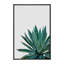 « agave cactus »-impression photographie-49905642-53128553