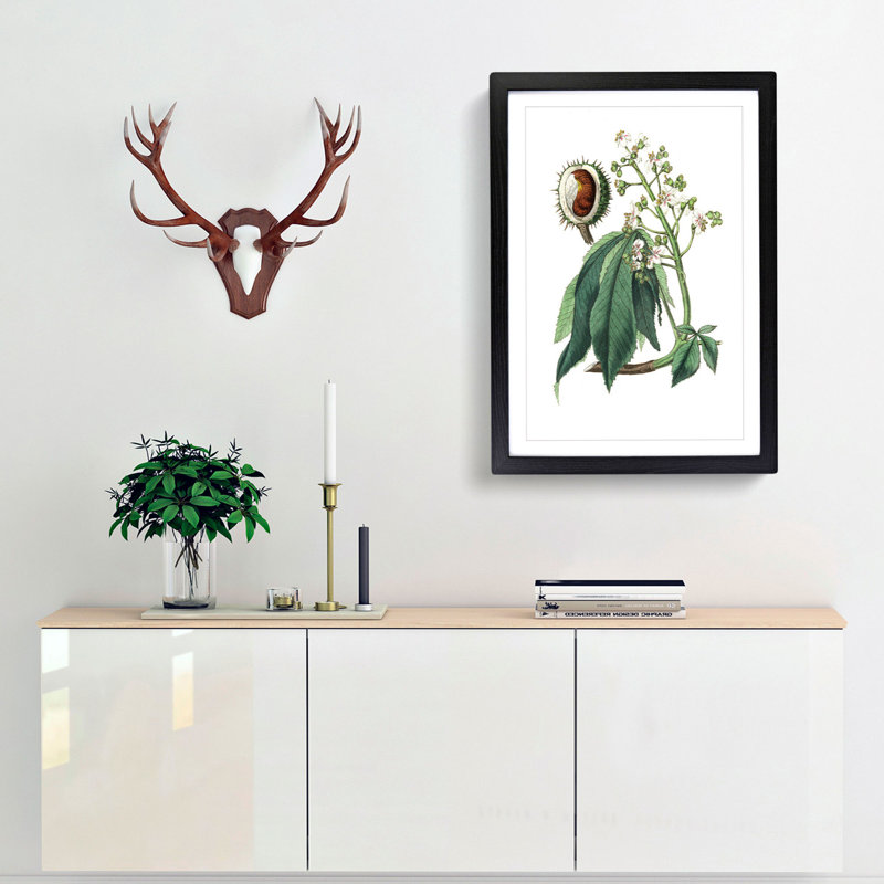 European Horse-chestnut Tree Illustration - Picture Frame Painting Print, 48cm H x 36cm W x 2cm D, Black Framed
