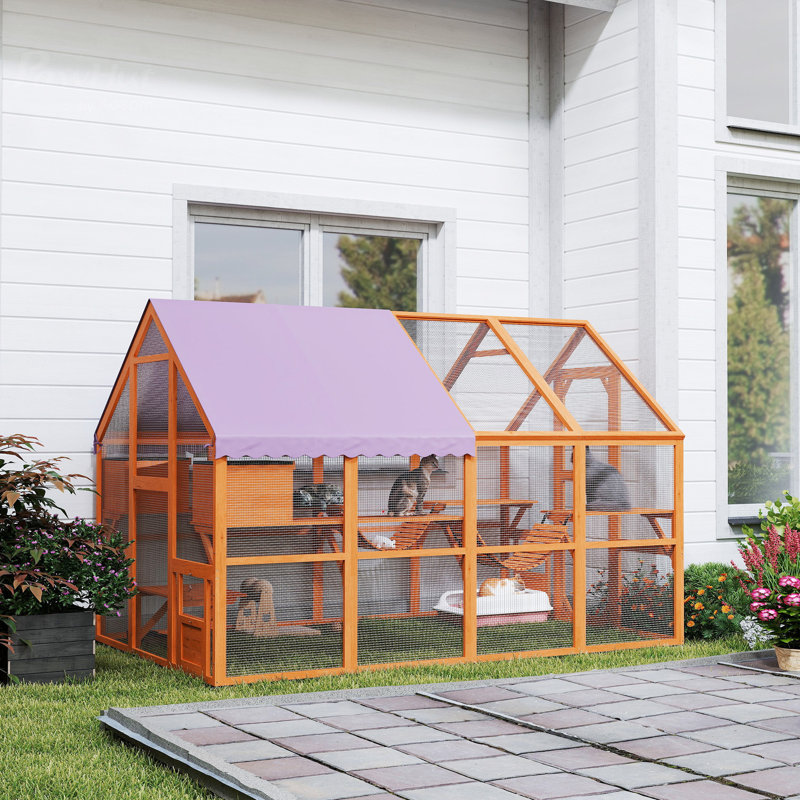 Enceinte d'extérieur pour chat Catio avec auvent résistant aux intempéries, ponts, orange