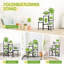 Plant Stand - Set of 6