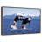 Jumping Couple Orcas-1299506889-1299506892