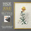 Traditional Botanical III - reproduction encadrée de qualité supérieure - prête à être accrochée - aucun clou requis - aucun clou requis-646285660-646285663