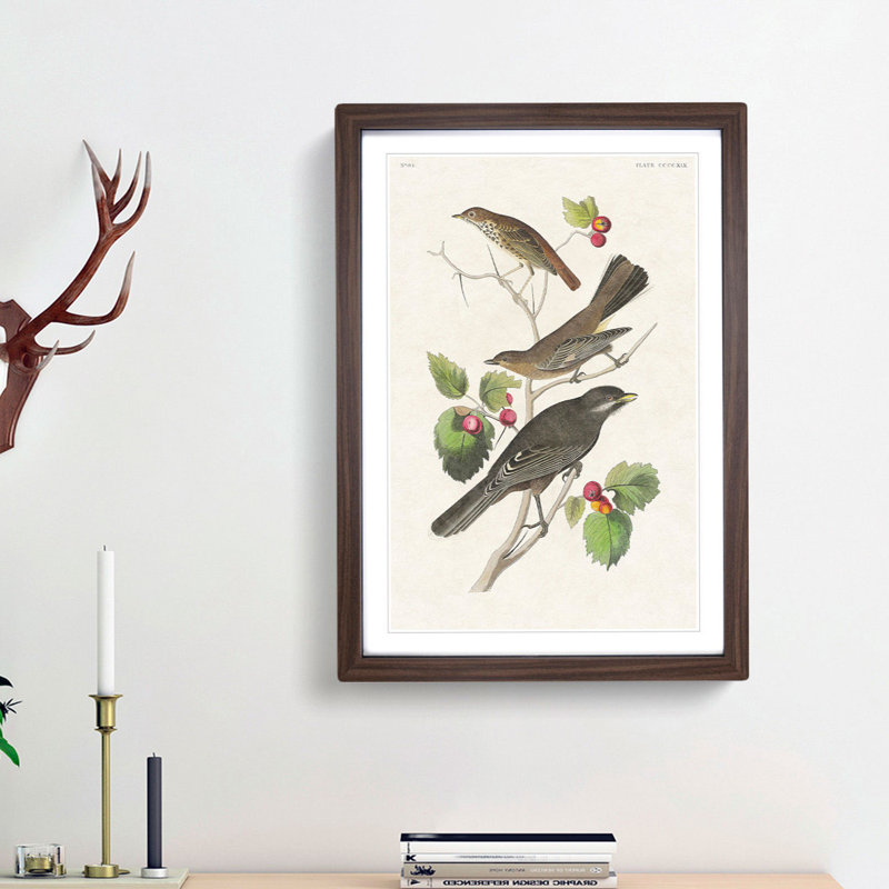 Selection of Birds by John Audubon - Framed Print, Walnut Framed, 48cm H x 36cm W x 2cm D