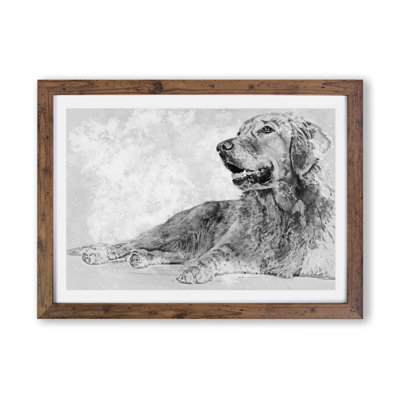 Golden Retriever in Abstract - Framed Print