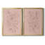 Rosetone Blossoms I - Ensemble de 2 reproductions d'art sur toile encadrées-522226392-522226390