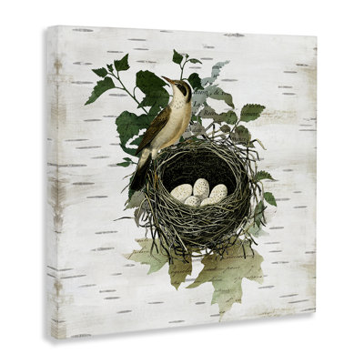 Vintage Bird Nest & Flora Canvas, design by Susan Arnot