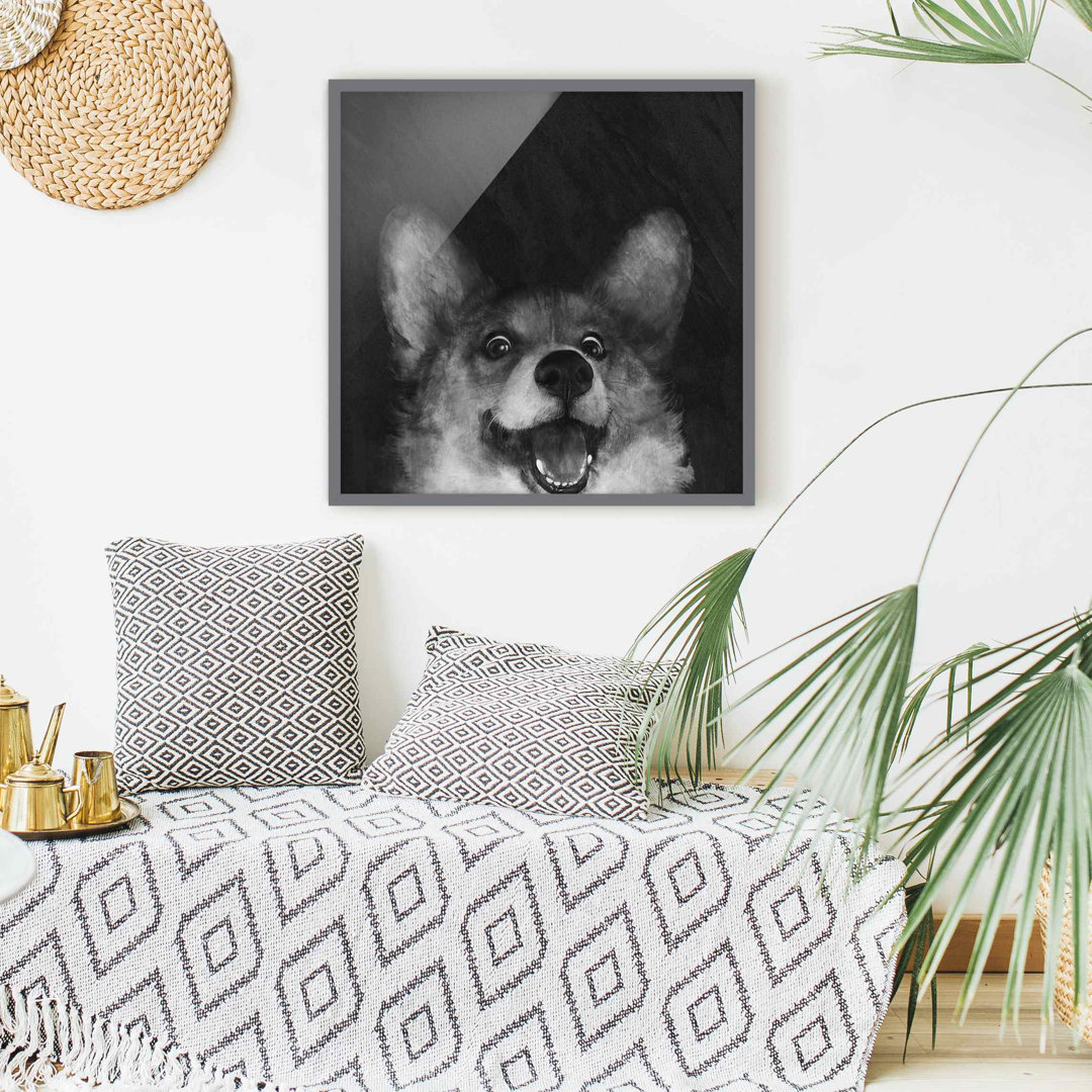 Gerahmtes Poster Illustration Dog Corgi in Schwarz/Weiß