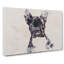 French Bulldog Vol.1 - Wrapped Canvas-61886933