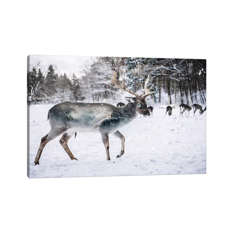 «Winter Deer II» par Paul Haag - reproduction de photo sur toile tendue, H 8 po x l 12 po x P 0,75 po