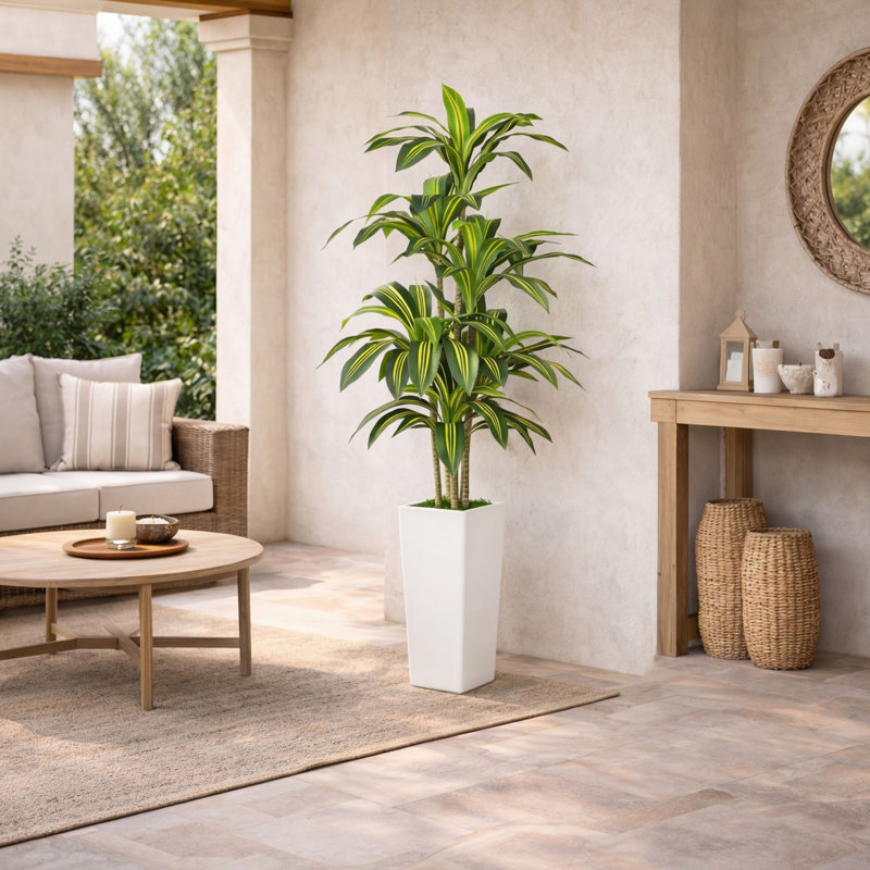 5 pi Dracaena artificielle en pot décoratif, White
