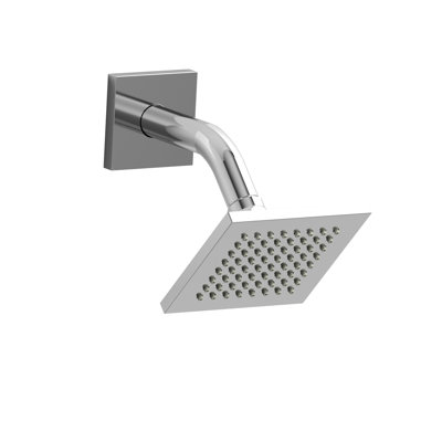 Rain Fixed Shower Head