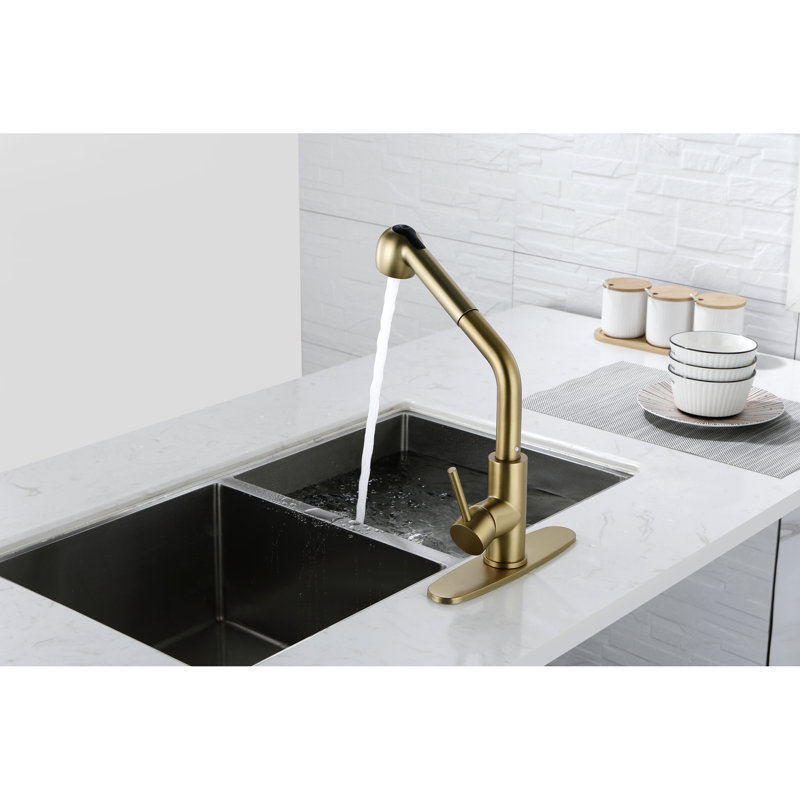 Spot Gold Stainless Steel Utility Sink Faucet With Single Pull-Out And Dual Spray, 360 Rotating Nozzle, Rust Surface, Good For Daily Use Stain, Ideal Laundry
